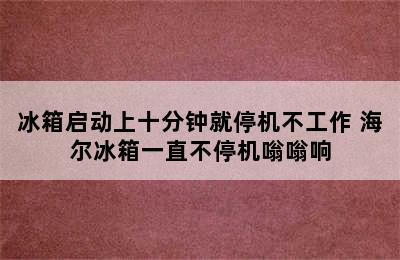 冰箱启动上十分钟就停机不工作 海尔冰箱一直不停机嗡嗡响